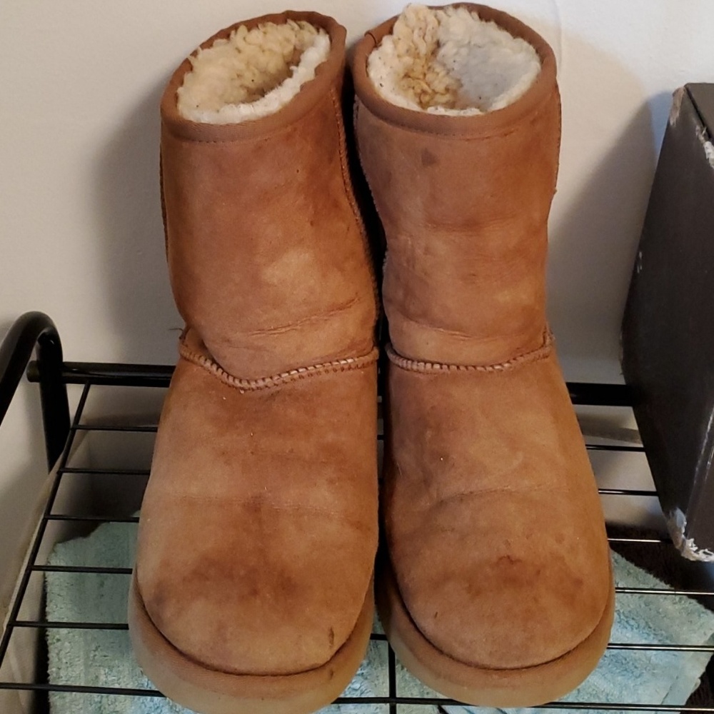 Chesnut Uggs